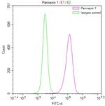 Pannexin 1 Antibody in Flow Cytometry (Flow)