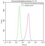 GPI Antibody in Flow Cytometry (Flow)