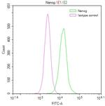 Nanog Antibody in Flow Cytometry (Flow)