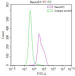 NeuroD1 Antibody in Flow Cytometry (Flow)