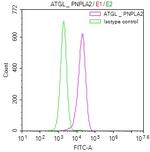 ATGL Antibody in Flow Cytometry (Flow)