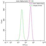 ACTA1 Antibody in Flow Cytometry (Flow)