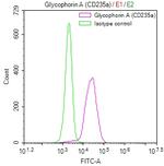 CD235a Antibody in Flow Cytometry (Flow)