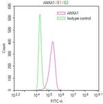 Annexin A1 Antibody in Flow Cytometry (Flow)