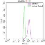 Complement C5 Antibody in Flow Cytometry (Flow)