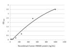 HMGB1 Antibody in ELISA (ELISA)