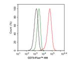 CD73 Antibody in Flow Cytometry (Flow)