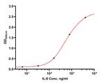 IL-6 Antibody in ELISA (ELISA)