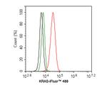 K-Ras Antibody in Flow Cytometry (Flow)