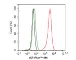 SLC7A11 Antibody in Flow Cytometry (Flow)