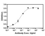 Myc Tag Antibody in ELISA (ELISA)