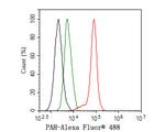 PAH Antibody in Flow Cytometry (Flow)