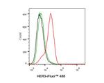 ErbB3 Antibody in Flow Cytometry (Flow)