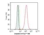 UPK3A Antibody in Flow Cytometry (Flow)