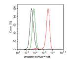 UPK3A Antibody in Flow Cytometry (Flow)