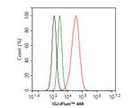 J Chain Antibody in Flow Cytometry (Flow)