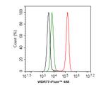 WDR77 Antibody in Flow Cytometry (Flow)