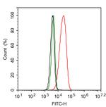 GPD2 Antibody in Flow Cytometry (Flow)