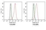 Cyclin D1 Antibody in Flow Cytometry (Flow)