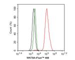 WNT8A Antibody in Flow Cytometry (Flow)