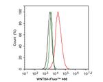 WNT8A Antibody in Flow Cytometry (Flow)