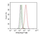 RTN3 Antibody in Flow Cytometry (Flow)