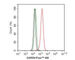 CARD9 Antibody in Flow Cytometry (Flow)