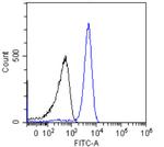 p53 Chimeric Antibody in Flow Cytometry (Flow)