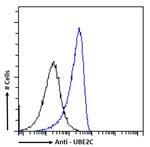 UBE2C Antibody in Flow Cytometry (Flow)