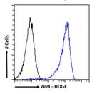 HDGF Antibody in Flow Cytometry (Flow)