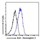 Desmoglein 3 Antibody in Flow Cytometry (Flow)