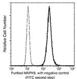 JNK2 Antibody in Flow Cytometry (Flow)