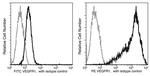 VEGF Receptor 1 Antibody in Flow Cytometry (Flow)