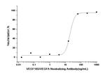 VEGF-165 Antibody in Neutralization (Neu)