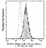 Bacteriophage M13 Antibody in Flow Cytometry (Flow)