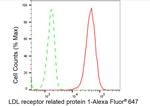 LRP1 Antibody in Flow Cytometry (Flow)