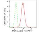 IKK epsilon Antibody in Flow Cytometry (Flow)