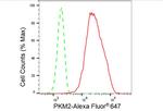 PKM2 Antibody in Flow Cytometry (Flow)