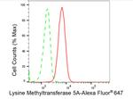 SETD8 Antibody in Flow Cytometry (Flow)