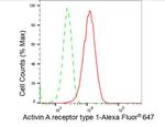 ACVR1 Antibody in Flow Cytometry (Flow)