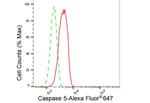 Caspase 5 Antibody in Flow Cytometry (Flow)