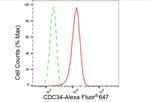 Cdc34 Antibody in Flow Cytometry (Flow)