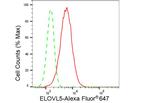 ELOVL5 Antibody in Flow Cytometry (Flow)