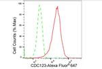 CDC123 Antibody in Flow Cytometry (Flow)