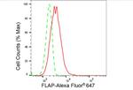 FLAP Antibody in Flow Cytometry (Flow)