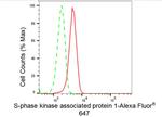 SKP1 Antibody in Flow Cytometry (Flow)