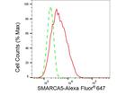 SMARCA5 Antibody in Flow Cytometry (Flow)