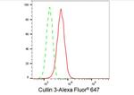 Cullin 3 Antibody in Flow Cytometry (Flow)