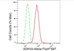 Alcohol Dehydrogenase 1A Antibody in Flow Cytometry (Flow)