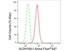 ALDH16A1 Antibody in Flow Cytometry (Flow)